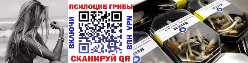 Галлюциногенные грибы GOLDEN TEACHER Анжеро-Судженск