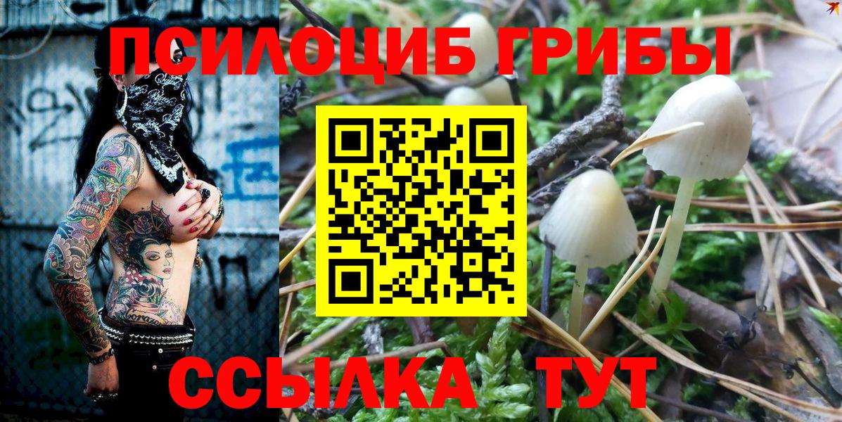 Псилоцибиновые грибы Magic Shrooms  цены наркотик  Анжеро-Судженск  Вход с VPN 