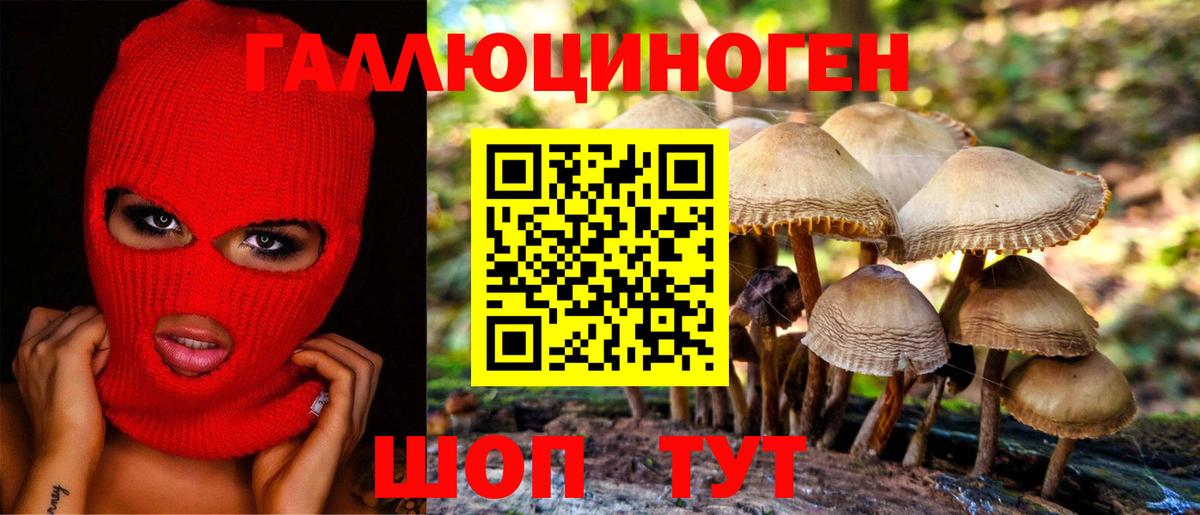 Галлюциногенные грибы мицелий Анжеро-Судженск